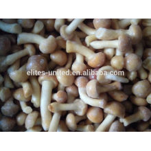 iqf nameko mushrooms